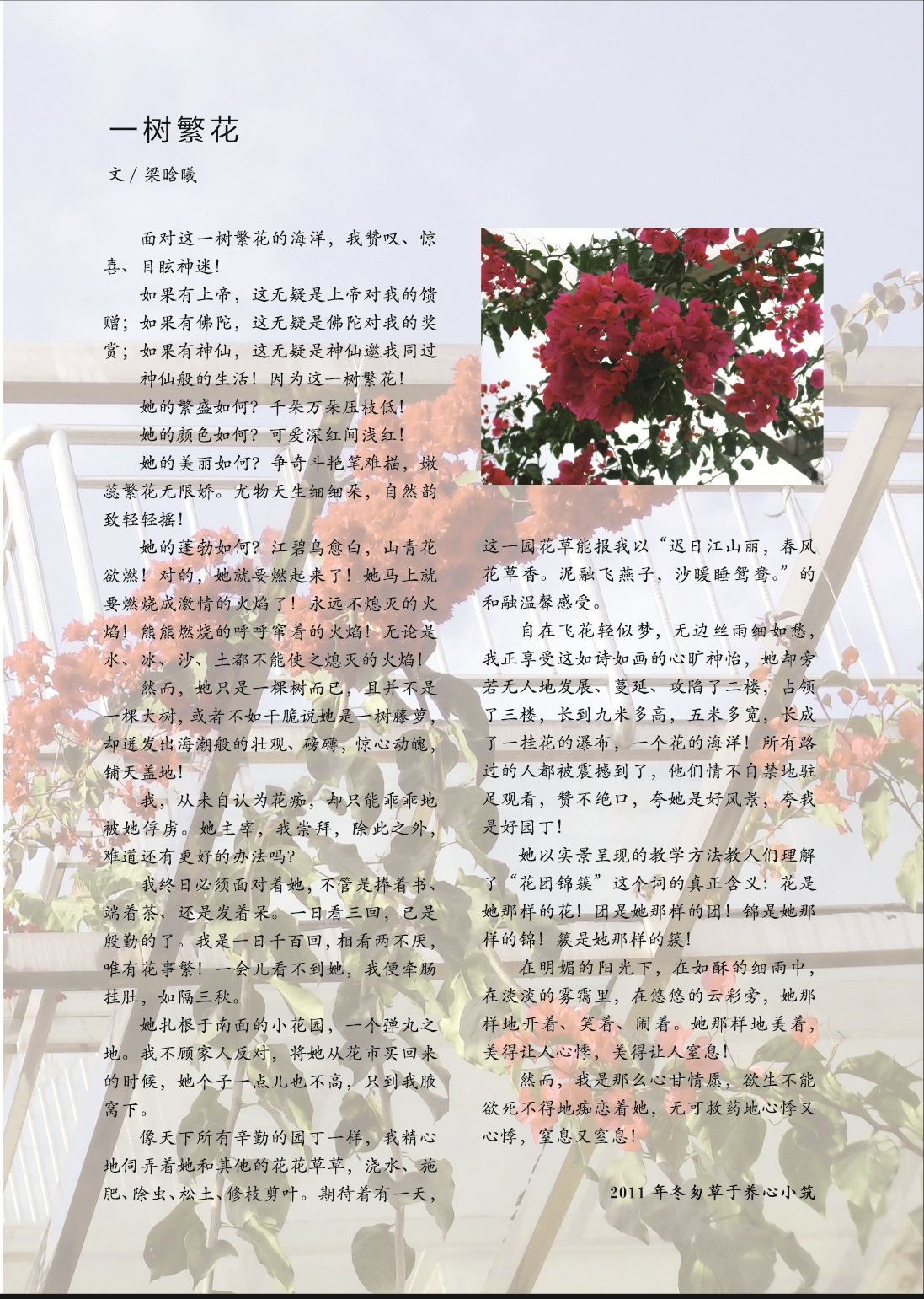 2-23.jpg