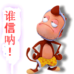 谁信.gif