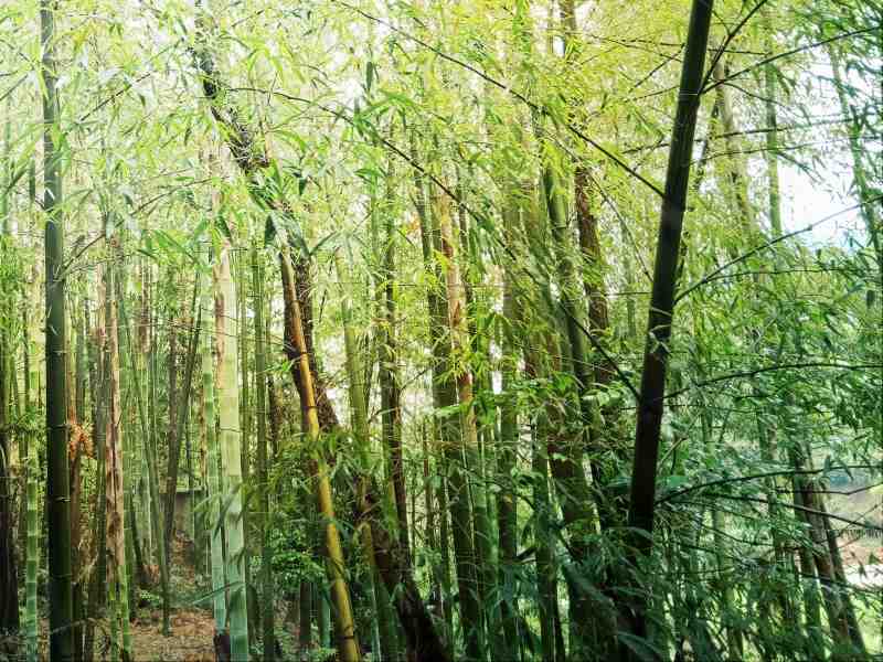 IMG20190425110005_看图王.jpg