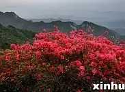 p171224947.webp.jpg